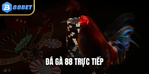 Đá Gà 88BET - Sân Chơi Đẳng Cấp Quốc Tế Với 3 Ưu Điểm Vàng