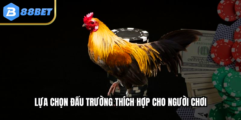 Đá Gà 88 Trực Tiếp – Cảm Giác Hồi Hộp Từ Đầu Đến Cuối