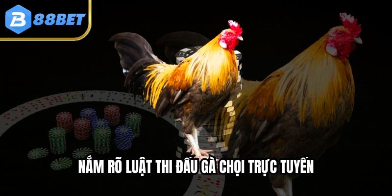 Đá Gà 88 Trực Tiếp – Cảm Giác Hồi Hộp Từ Đầu Đến Cuối