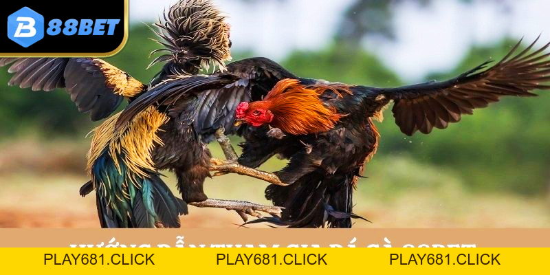 88BET – Cổng Giải Trí Trực Tuyến Uy Tín, Đẳng Cấp Và Hiện Đại